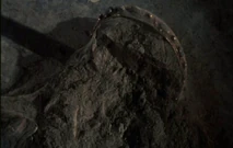 Adriana269.jpg (249 KB)