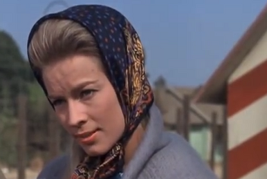 Rhonda Shear (1954), Movie and TV Wiki