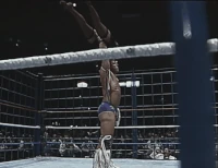 Warrior07.gif (5.17 MB)