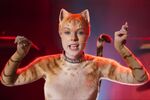 Bombalurina (Cats) - Last Edited: 2024-04-30