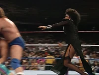 Piper007.jpg (1.1 MB)