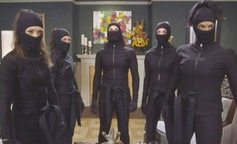 femalevillains.fandom.com