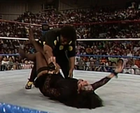 New Fringe 021.jpg (926 KB)