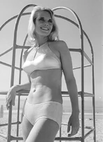 500fullsivi.jpg (92 KB)