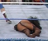 Piper010.jpg (277 KB)