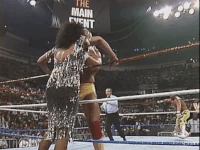 SNME02.gif (4.64 MB)