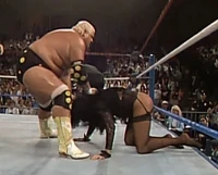 New Fringe 015.jpg (1.04 MB)