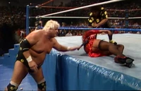 New RG 015.jpg (1.31 MB)