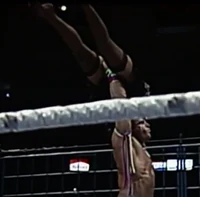 Warrior007.jpg (358 KB)