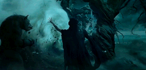 Tumblr pk1zoeYFCE1s7fgd5o2 540.gif