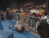 Piper06.gif (9.77 MB)