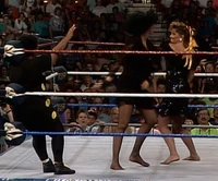 New Fringe 025.jpg (1.32 MB)