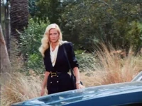 Vlcsnap-2018-11-17-05h32m42s577.png (418 KB)