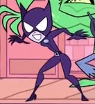 Catwoman (Teen Titans Go!) - Last Edited: 2022-06-15