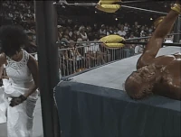 Beach01.gif (6.63 MB)