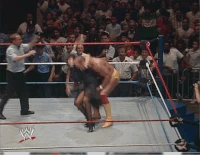 Boston06.gif (8.95 MB)