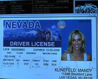 Mandy Klinefeld's driving license, showing her to be 26 years old