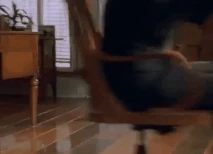 Rebbeca Reichert 3.gif (2.58 MB)