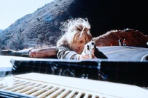 1902271,MqveFMRzikFV7Hc 8n63Uc1ipmVb1vLp9msrFhS3XaEtcAt+Fsvlg6ONLfyZMTzjSXWrTFvr7eQHr2OVvq3ulg==.jpg (67 KB)