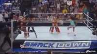 Evil Layla delivering a lethal kick to Brie Bella