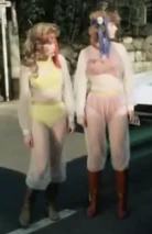 Screenshot 17008.png (739 KB)