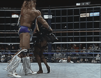 Warrior06.gif (4.63 MB)