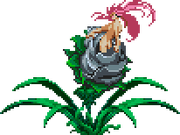 Symphony of the Night, Dawn of Sorrow and Portrait of Ruin