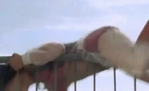 Screenshot 17020.png (764 KB)