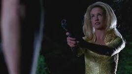 But still....make love to a bitch does not bring only good things.