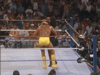 SherriFShort2.gif (9.02 MB)