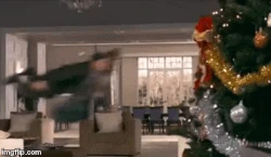 Vera Merchants Home Alone 4 The Female Villains Wiki Fandom