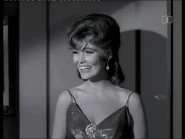 Silkie 1 (Kipp Hamilton)