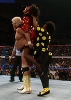 New RG 003.jpg (760 KB)