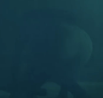 cos we needed to see her ass in the dark as well