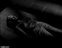 4nfhn7.gif (1.05 MB)