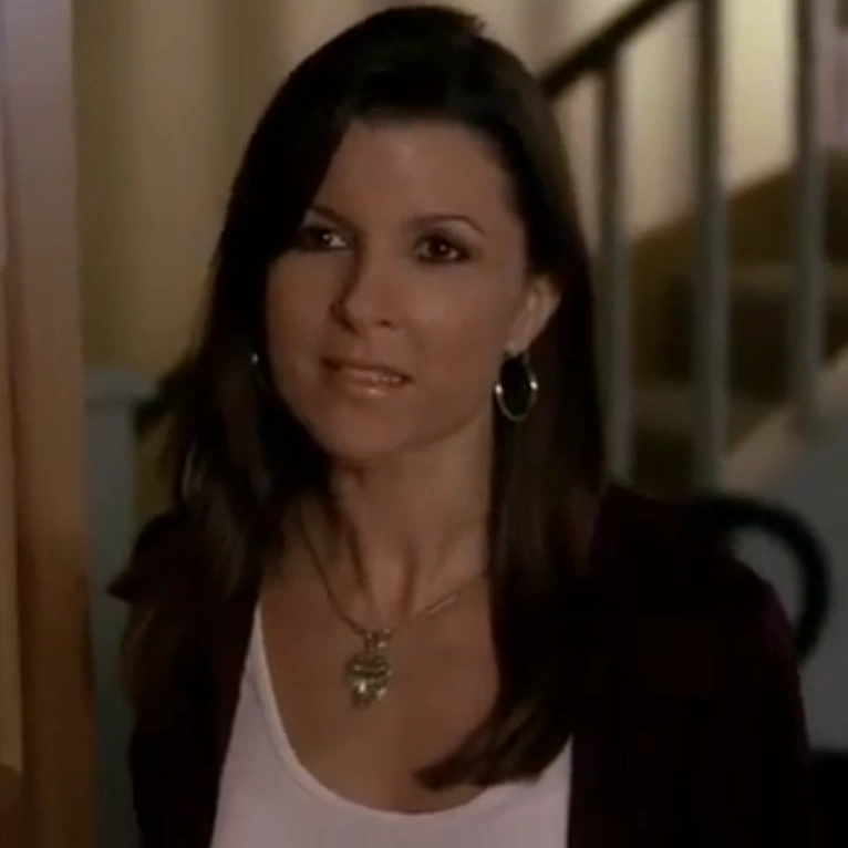 Ann Wylie (Las Vegas) The Female Villains Wiki Fandom