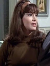 Screenshot 50317.jpg (40 KB)