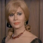 Barbary Red (The Big Valley) - Last Edited: 2021-10-11