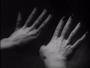 Leonora's manicured hands becoming furry paws