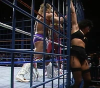 Warrior002.jpg (1.39 MB)