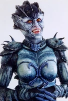 Natira2.jpg (132 KB)