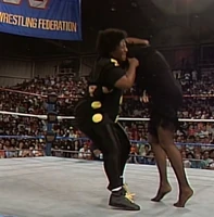 New Fringe 017.jpg (1.1 MB)