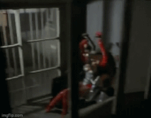 52nbgn.gif (2.76 MB)