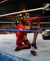 New RG 018.jpg (735 KB)