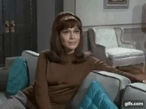 Julie Gregg bewitched7.gif (1.75 MB)