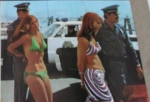 Policewomen - arrested boat henchwomen