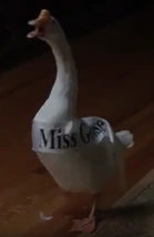 Screenshot 9783.png (318 KB)