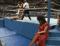 Brutus01.gif (9.93 MB)