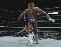 Warrior02.gif (5.09 MB)