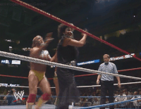 Boston04.gif (7.76 MB)